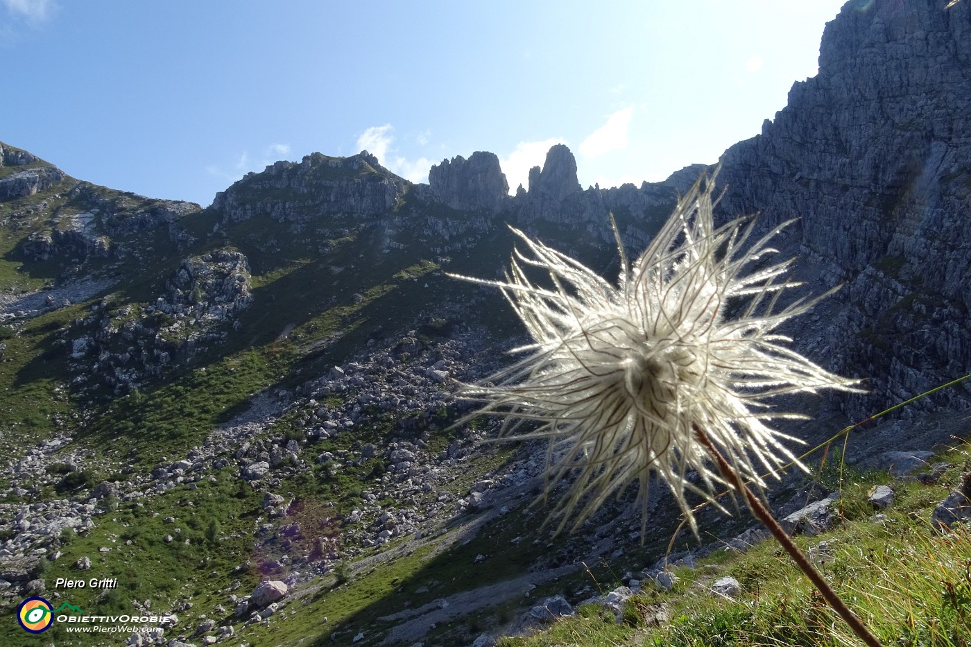 32 Pulsatilla alpina in fruttescenza con vista sui roccioni tra Corna Grande e Zucco Barbesino.JPG -                                